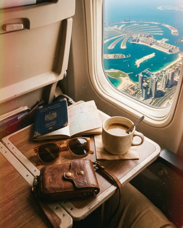 Airplane tray table palm, Dubai